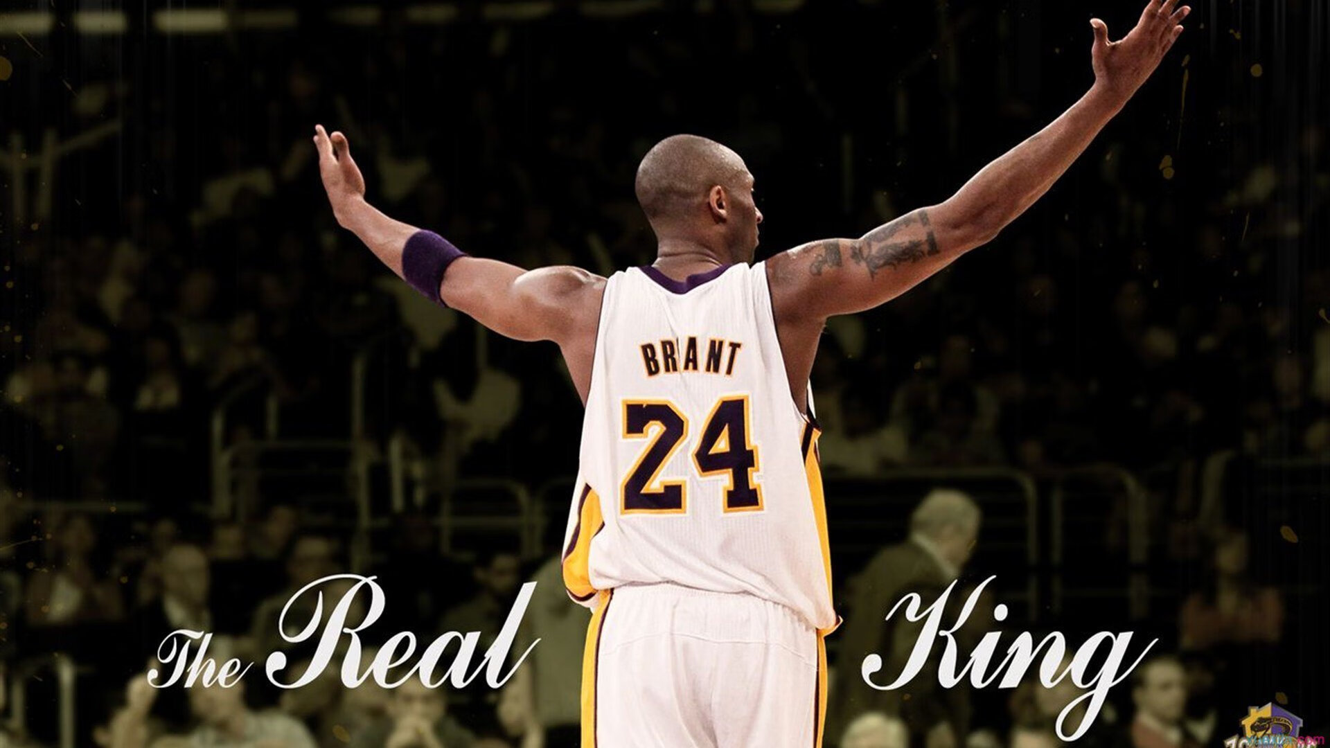 世界马拉松2026年将对违规“替跑”行为建立黑名单共享系统